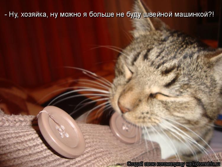 Котоматрица: - Ну, хозяйка, ну можно я больше не буду швейной машинкой?!