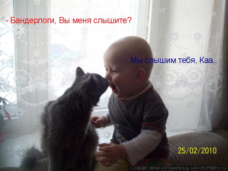 Котоматрица: - Бандерлоги, Вы меня слышите? - Мы слышим тебя, Каа..