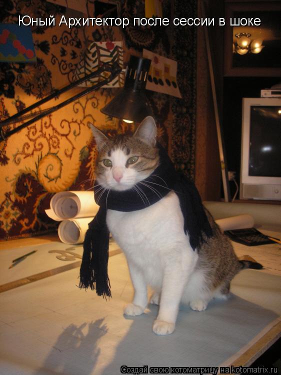 Котоматрица: Юный Архитектор после сессии в шоке