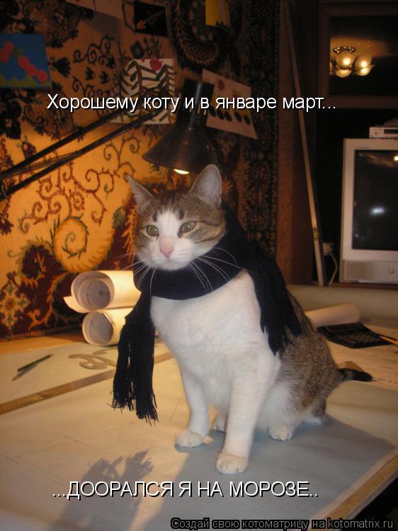 Хорошему коту и в январе март... ...ДООРАЛСЯ Я НА МОРОЗЕ..... Котоматрица: Хорошему коту и в январе март... ...ДООРАЛСЯ Я НА МОРОЗЕ..