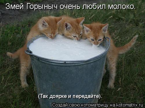 Змей Горыныч очень любил молоко. (Так доярке и передайте).... Котоматрица: Змей Горыныч очень любил молоко. (Так доярке и передайте).