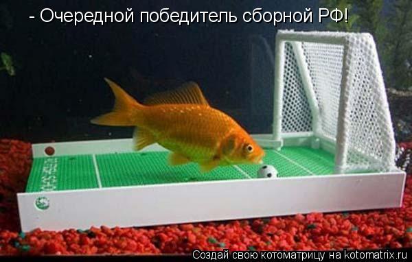 - Очередной победитель сборной РФ!... Котоматрица: - Очередной победитель сборной РФ!