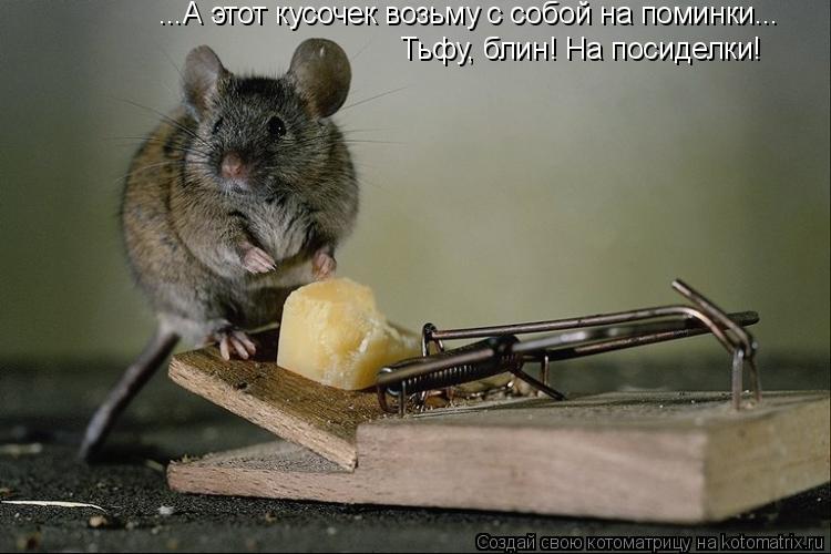 Котоматрица: ...А этот кусочек возьму с собой на поминки... Тьфу, блин! На посиделки!