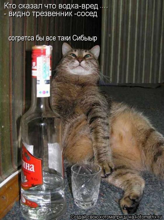 Котоматрица: согретса бы все таки Сибыыр