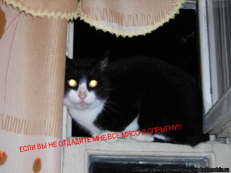 Котоматрица: ЕСЛИ ВЫ НЕ ОТДАДИТЕ МНЕ ВСЕ МЯСО Я СПРЫГНУ!!!