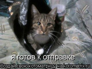 Котоматрица: я готов к отправке