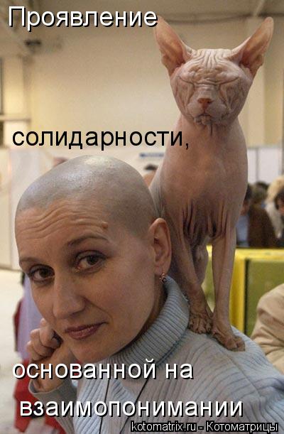 Проявление солидарности, основанной на взаимопонимании... Котоматрица: Проявление солидарности, основанной на взаимопонимании