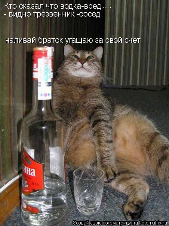 Котоматрица: наливай браток угащаю за свой счет