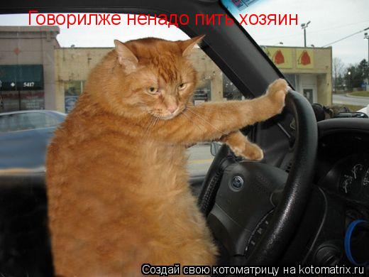 Котоматрица: Говорилже ненадо пить хозяин