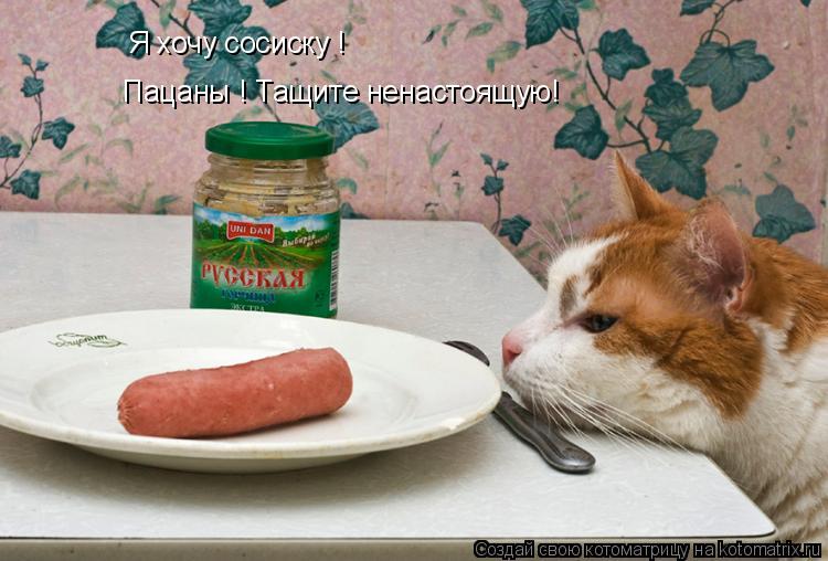 Котоматрица: Я хочу сосиску ! Пацаны ! Тащите ненастоящую!