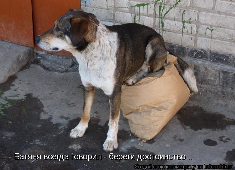 Котоматрица: - Батяня всегда говорил - береги достоинство...