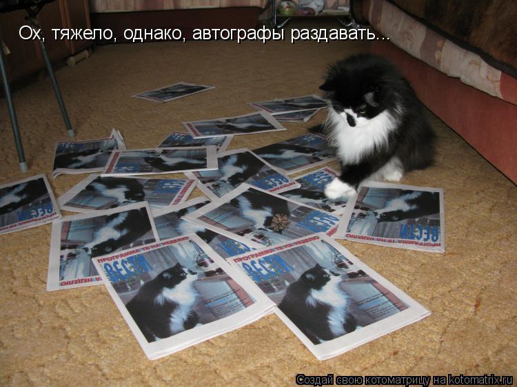 Котоматрица: Ох, тяжело, однако, автографы раздавать...