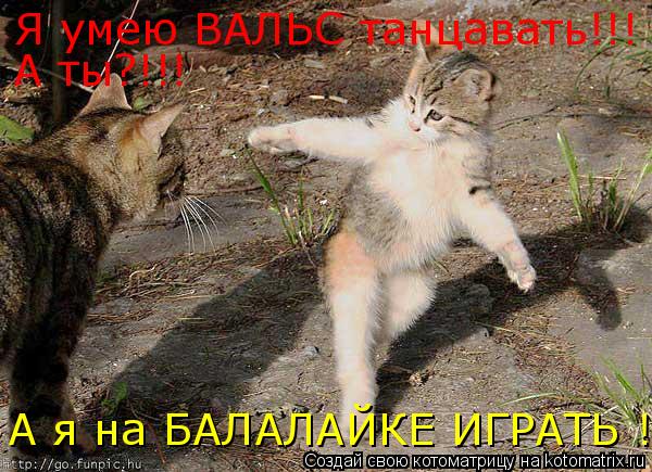 Котоматрица: Я умею ВАЛЬС танцавать!!! А ты?!!! А я на БАЛАЛАЙКЕ ИГРАТЬ !