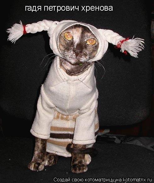 Котоматрица: гадя петрович хренова