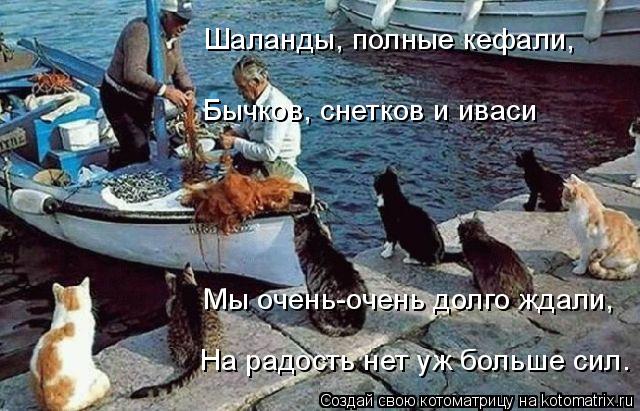 Шаланды, полные кефали, Бычков, снетков и иваси Мы очень-очень долго ждали, На радость нет уж больше ... Котоматрица: Шаланды, полные кефали, Бычков, снетков и иваси Мы очень-очень долго ждали, На радость нет уж больше сил.