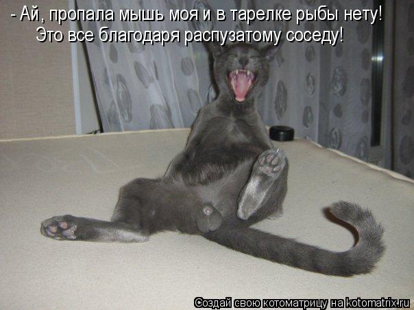 - Ай, пропала мышь моя и в тарелке рыбы нету! Это все благодаря распузатому соседу!... Котоматрица: - Ай, пропала мышь моя и в тарелке рыбы нету! Это все благодаря распузатому соседу!