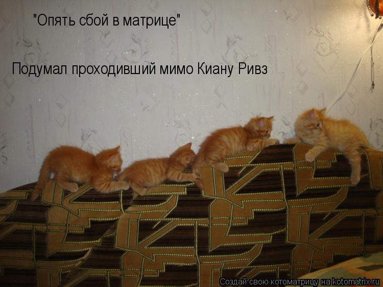"Опять сбой в матрице" Подумал проходивший мимо Киану Ривз... Котоматрица: "Опять сбой в матрице" Подумал проходивший мимо Киану Ривз