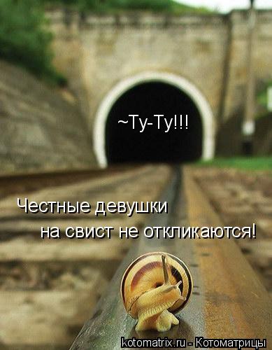 ~Ту-Ту!!! Честные девушки на свист не откликаются!... Котоматрица: ~Ту-Ту!!! Честные девушки на свист не откликаются!