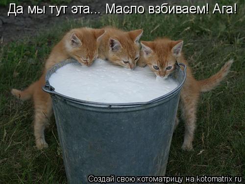 Да мы тут эта... Масло взбиваем! Ага!... Котоматрица: Да мы тут эта... Масло взбиваем! Ага!