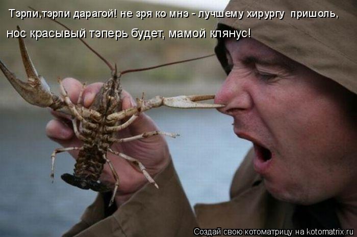 нос красывый тэперь будет, мамой клянус! Тэрпи,тэрпи дарагой! не зря ко мнэ - лучшему хирургу пришол... Котоматрица: нос красывый тэперь будет, мамой клянус! Тэрпи,тэрпи дарагой! не зря ко мнэ - лучшему хирургу пришоль,