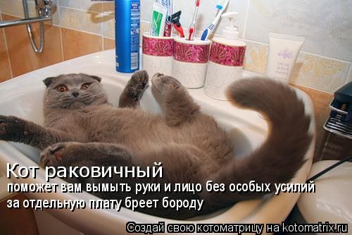 Кот раковичный поможет вам вымыть руки и лицо без особых усилий за отдельную плату бреет бороду... Котоматрица: Кот раковичный поможет вам вымыть руки и лицо без особых усилий за отдельную плату бреет бороду