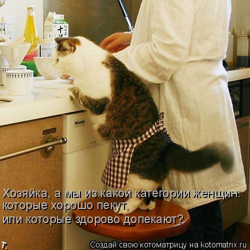 Котоматрица: Хозяйка, а мы из какой категории женщин: которые хорошо пекут,  или которые здорово допекают?