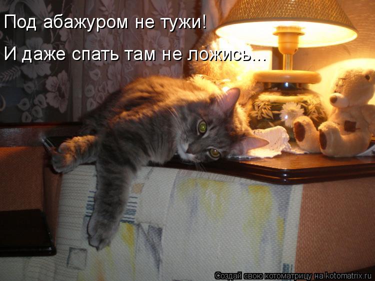 Под абажуром не тужи! И даже спать там не ложись...... Котоматрица: Под абажуром не тужи! И даже спать там не ложись...