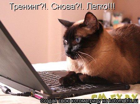 Тренинг?!. Снова?!. Легко!!!... Котоматрица: Тренинг?!. Снова?!. Легко!!!