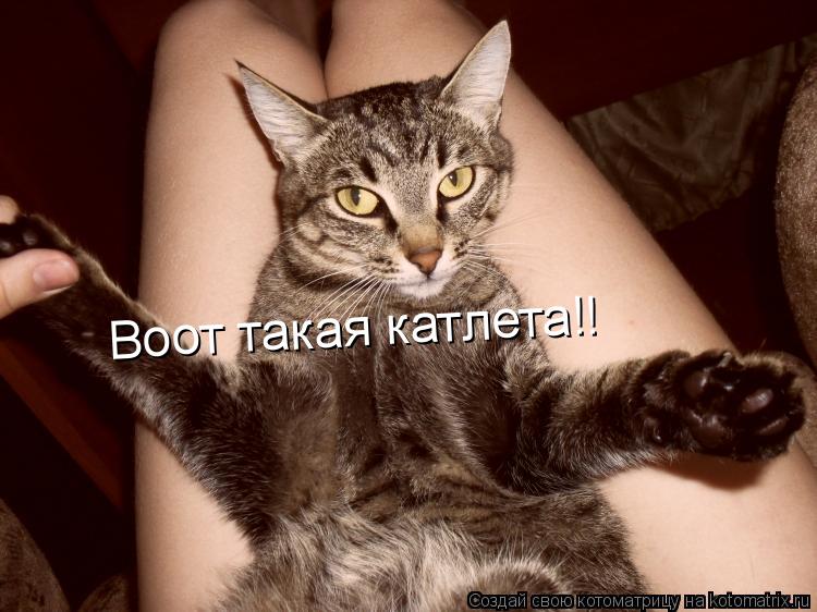 Котоматрица: Воот такая катлета!!