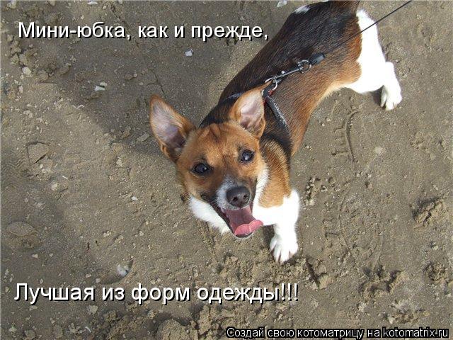 Котоматрица: Мини-юбка, как и прежде, Лучшая из форм одежды!!!