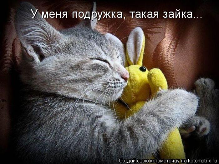 У меня подружка, такая зайка...... Котоматрица: У меня подружка, такая зайка...