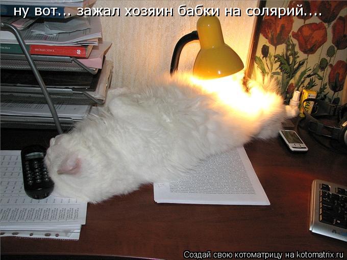 Котоматрица: ну вот... зажал хозяин бабки на солярий....