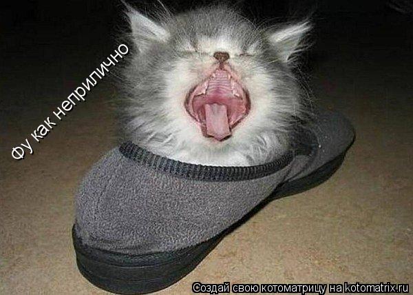 Котоматрица: Фу как неприлично