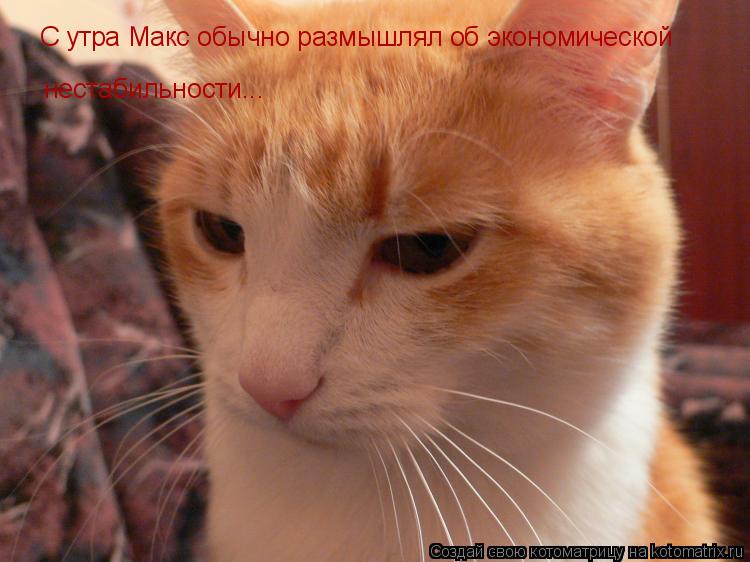 Котоматрица: С утра Макс обычно размышлял об экономической  нестабильности...
