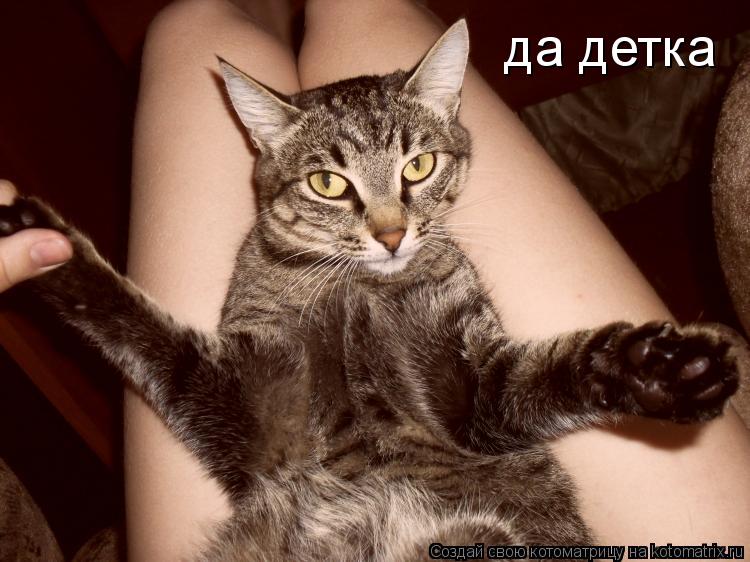 Котоматрица: да детка