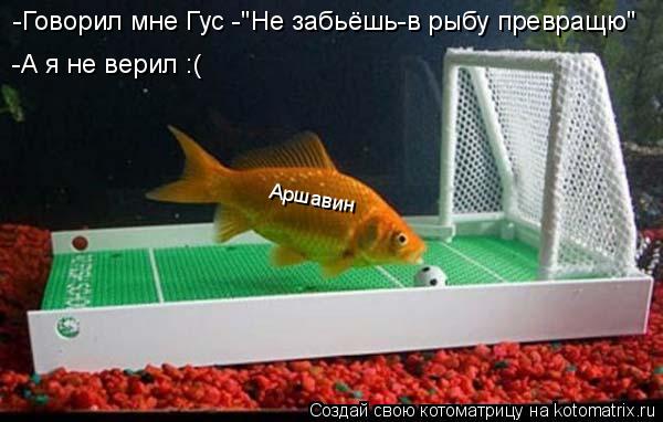 Котоматрица: Аршавин -Говорил мне Гус -"Не забьёшь-в рыбу превращю"  -А я не верил :(