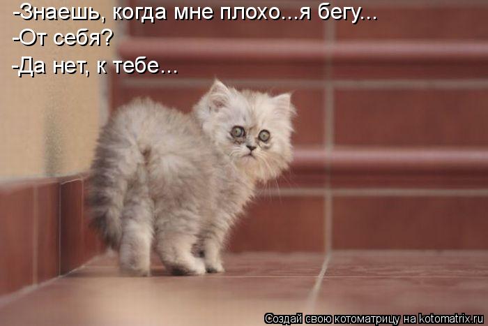 Котоматрица: -Знаешь, когда мне плохо...я бегу... -От себя? -Да нет, к тебе...