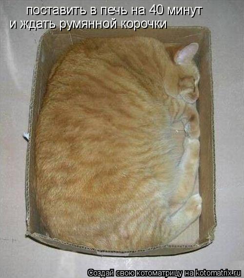 Котоматрица: поставить в печь на 40 минут  и ждать румянной корочки