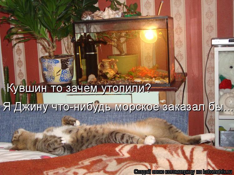 Котоматрица: Кувшин то зачем утопили? Я Джину что-нибудь морское заказал бы...
