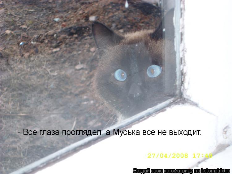 Котоматрица: - Все глаза проглядел, а Муська все не выходит.