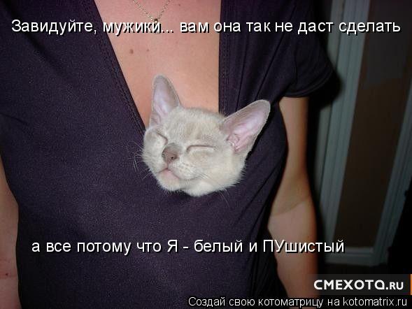 Котоматрица: Завидуйте, мужики... вам она так не даст сделать а все потому что Я - белый и ПУшистый