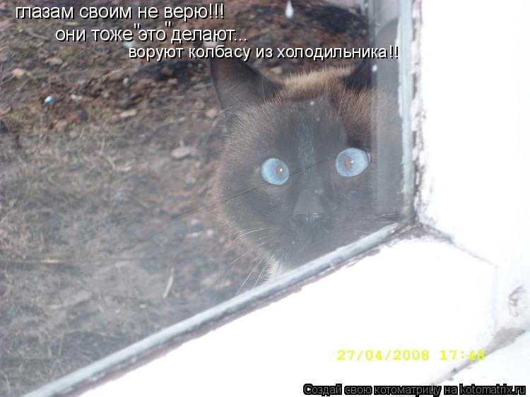 глазам своим не верю!!! они тоже это делают... " " воруют колбасу из холодильника!!... Котоматрица: глазам своим не верю!!! они тоже это делают... " " воруют колбасу из холодильника!!
