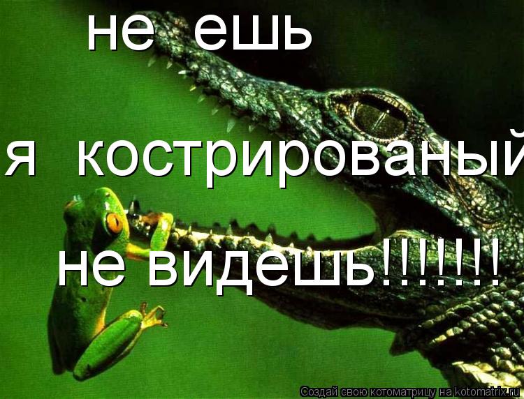 не ешь я кострированый не видешь!!!!!!!... Котоматрица: не ешь я кострированый не видешь!!!!!!!