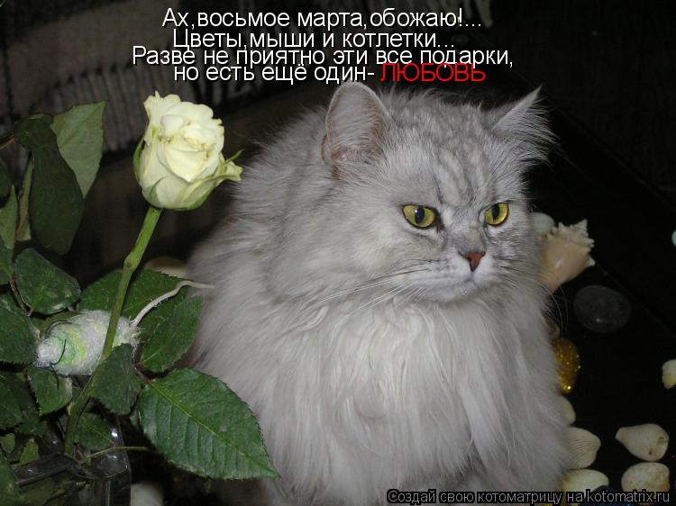Ах,восьмое марта,обожаю!... Цветы,мыши и котлетки... Разве не приятно эти все подарки, но есть ещё од... Котоматрица: Ах,восьмое марта,обожаю!... Цветы,мыши и котлетки... Разве не приятно эти все подарки, но есть ещё один- ЛЮБОВЬ
