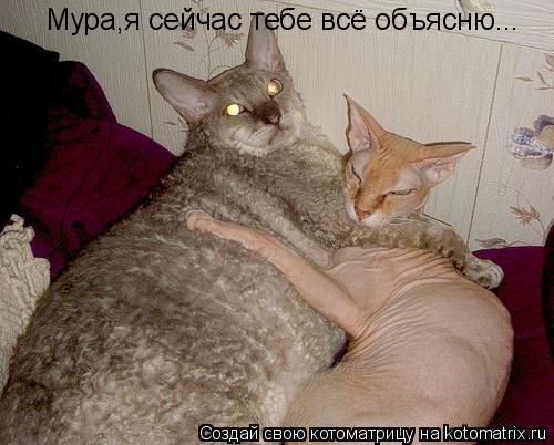 Мура,я сейчас тебе всё объясню...... Котоматрица: Мура,я сейчас тебе всё объясню...