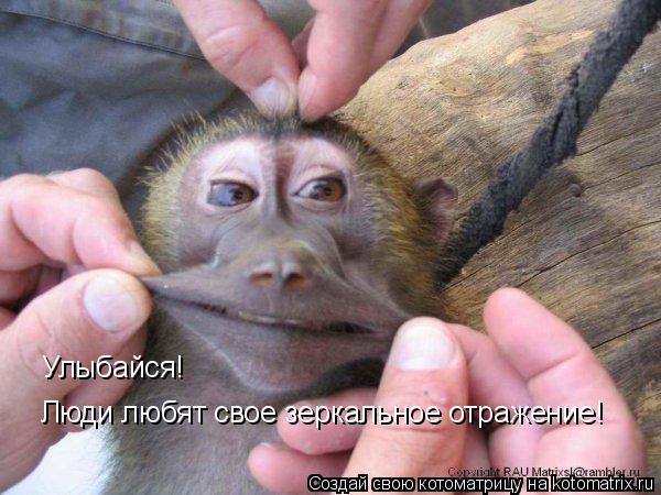 Улыбайся! Люди любят свое зеркальное отражение!... Котоматрица: Улыбайся! Люди любят свое зеркальное отражение!