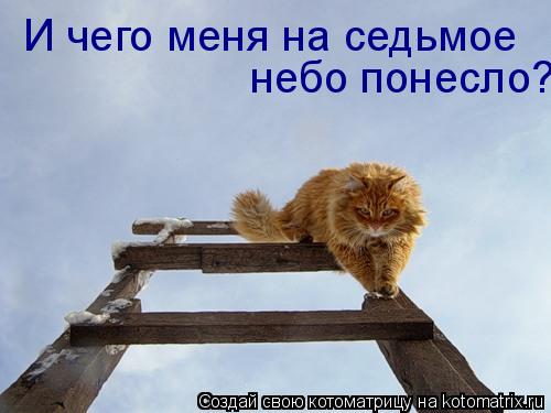 И чего меня на седьмое небо понесло?... Котоматрица: И чего меня на седьмое небо понесло?