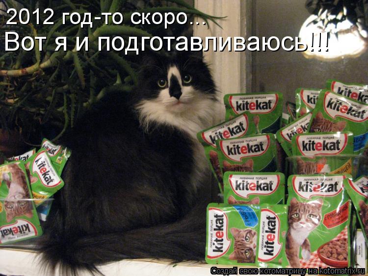 2012 год-то скоро... Вот я и подготавливаюсь!!!... Котоматрица: 2012 год-то скоро... Вот я и подготавливаюсь!!!