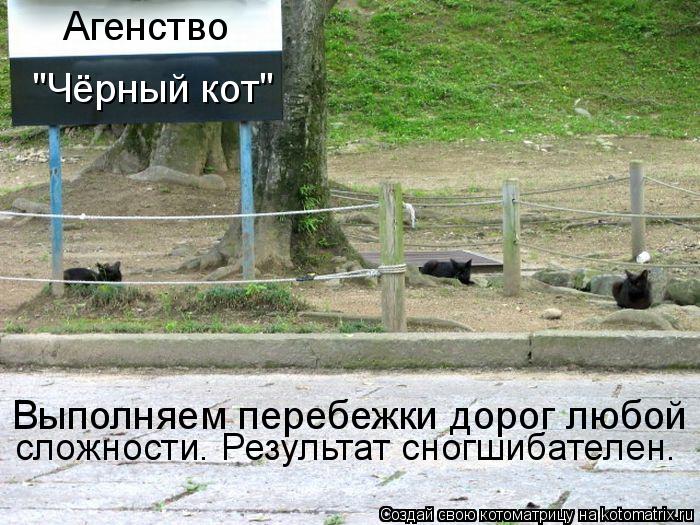 Агенство "Чёрный кот" сложности. Результат сногшибателен. Выполняем перебежки дорог любой... Котоматрица: Агенство "Чёрный кот" сложности. Результат сногшибателен. Выполняем перебежки дорог любой