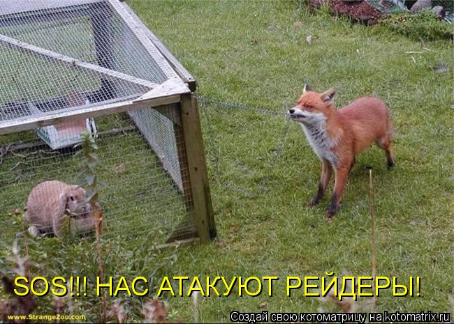 SOS!!! НАС АТАКУЮТ РЕЙДЕРЫ!... Котоматрица: SOS!!! НАС АТАКУЮТ РЕЙДЕРЫ!